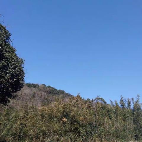 有机生活新时代从这里开启