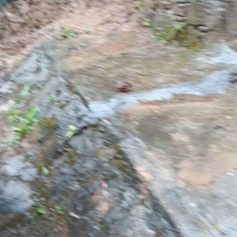 我花甲之日唯一的幸福盛宴！