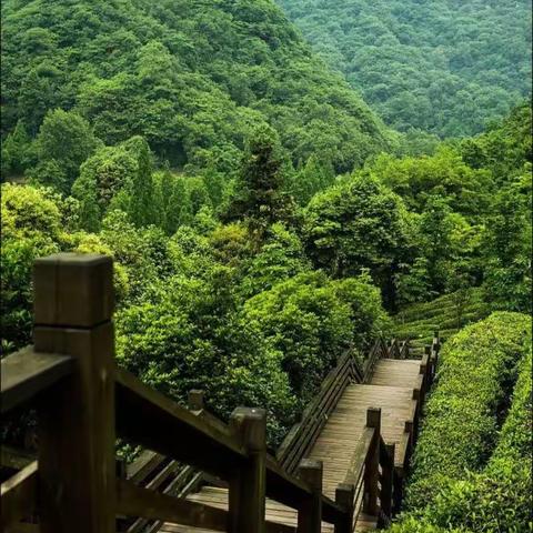 晨读笔记！感悟红尘！