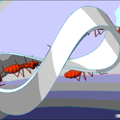 玩转“默比乌斯带”，探索数学之奥秘 ——四年级数学实践活动成果展示