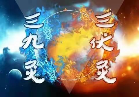 三伏天，长蛇灸怎样才能有效果？