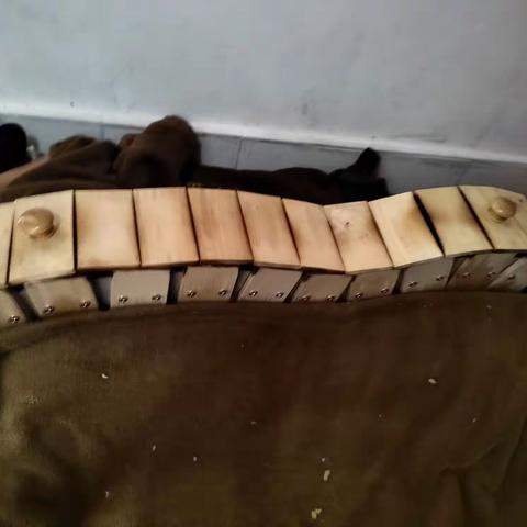 三伏天，长蛇灸，冬病夏治好帮手