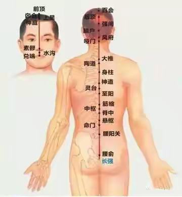 三伏天，长蛇灸给我们带来什么好处