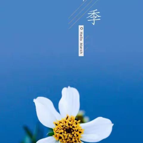 万福圆新城国际物业服务中心三月工作简报
