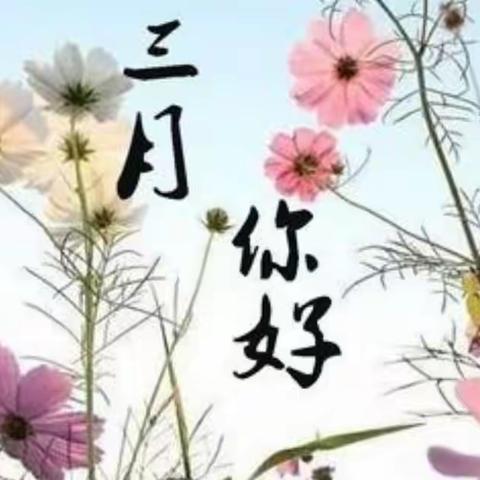 万福圆新城国际物业服务中心三月第一周工作简报