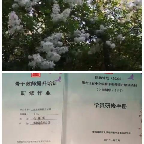 终身学习永不懈怠