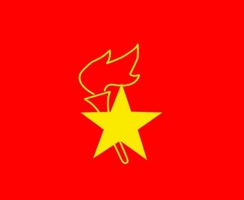 长春国际物流经济开发区实验学校【空中思政课堂】中国少年先锋队队旗