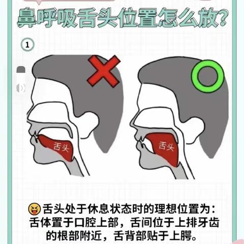 幼儿保健小知识﻿ 《张嘴呼吸真的影响宝宝健康》