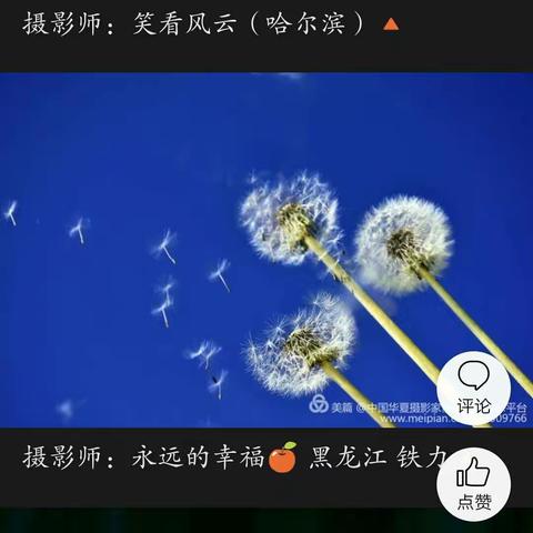 永远的幸福的美篇