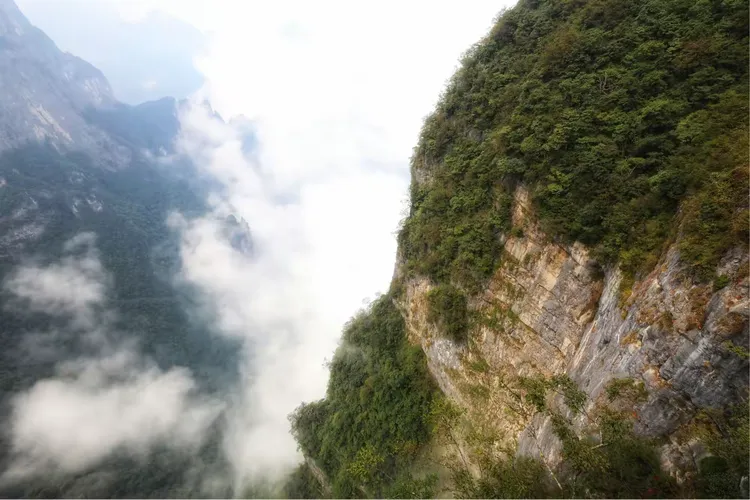 奇山俊峰张家界