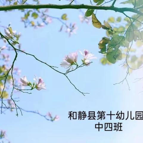 快乐成长记——和静县第十幼儿园中四班三月份美篇