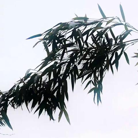 自拍三千，只取几张。😂😂😂