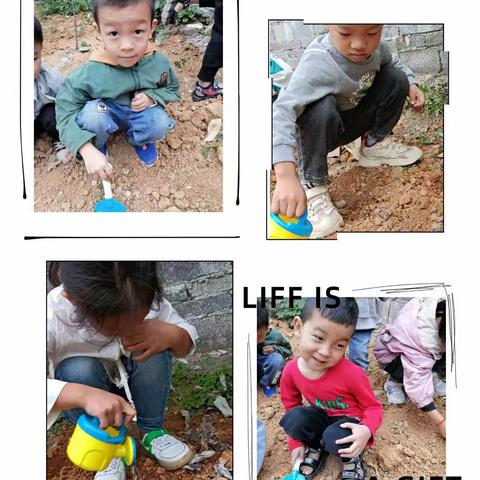 博才幼儿园之大二班宝贝精彩瞬间