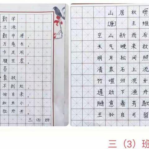 与“双减”同行，绘多彩寒假——南城县第二小学三3班学生假期生活记录