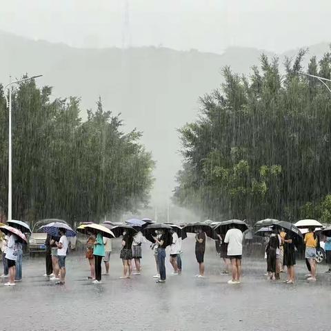 一场高温暴雨下的双向奔赴，致敬坚守一线的“天涯党群人”