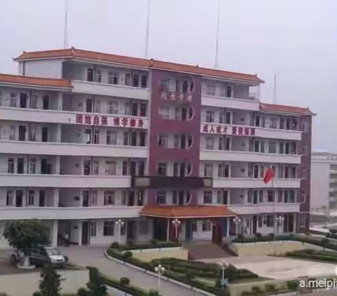 化州市新安中学2014届初三206班