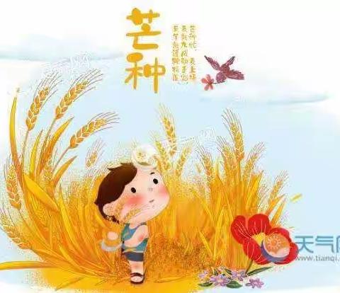 方方乐趣幼儿园美食分享（6月6日一10日）