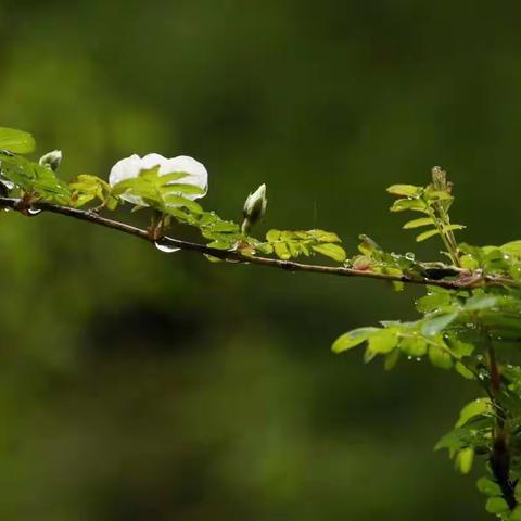 春润大地，万物可期，正是人间好光景🔥——L小二②班星火组合读书会