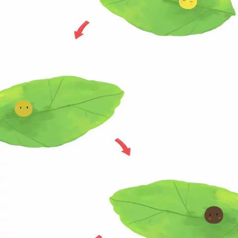 一张图带孩子探秘蝴蝶的一生