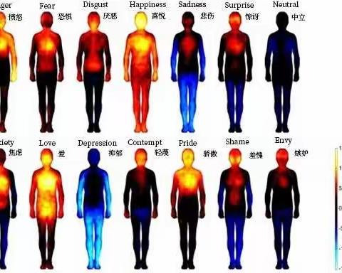 情绪不好，所有养生都是徒劳！坏情绪的伤害远超想象！《摘》