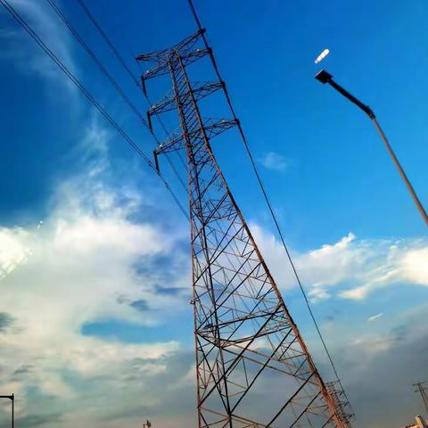 关于砖家与专家