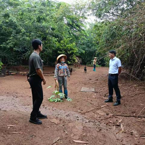 红旗镇开展省级生态环境保护例行督察迎检工作日报（6月12日）