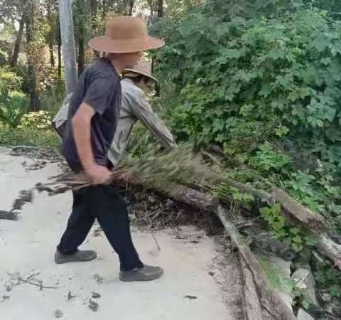 平河村和美乡村建设今日动态