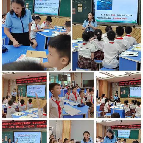 “语”你同行，一路芬芳---记2023年赤坎区“城乡教育一体化”之“专递课堂”数字教材应用活动