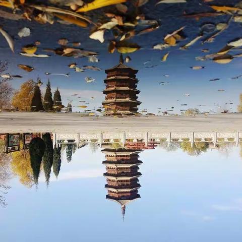 携手同行，行摄天下……2019.11.09