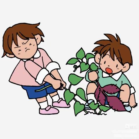 乐在秋天  “薯”你最甜—临江中心幼儿园中一班主题活动