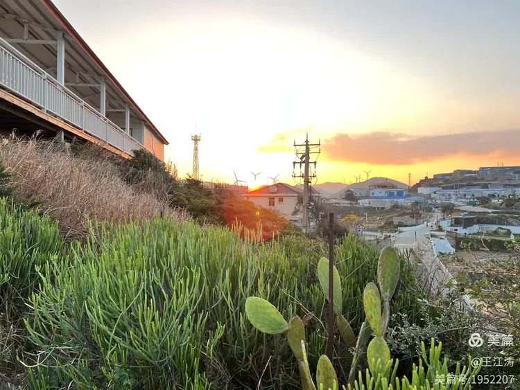 图片[28]-走马观花石与海——漫游古石村与平流尾地质公园-华闻时空