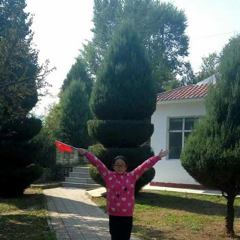 《我携国旗去旅行》