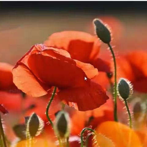 及象课堂（油画）象子老师和路路2023.9.8-9.13