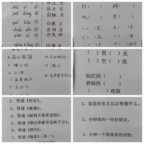 无纸测评，无忧童年， ＿高要区莲塘镇罗勒小学一、二年级无纸化测评活动