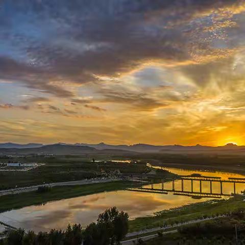 秀美河湖  槐河湿地  鸟类乐园