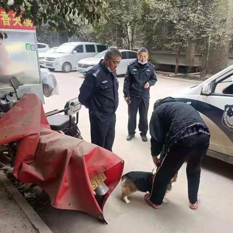 快速行动，处置养犬问题