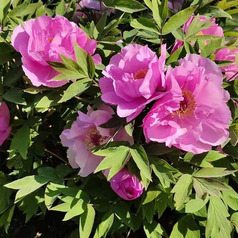 长春市朝阳区少年宫迎接创城检查