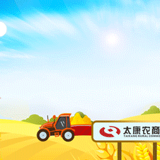 砥砺前行，用心服务