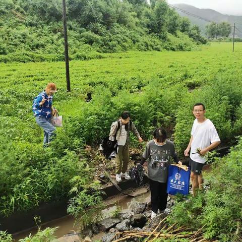 中药材减灾和病虫害防治田间技术指导——沈阳农业大学清原县中药材科技特派团科技服务记录