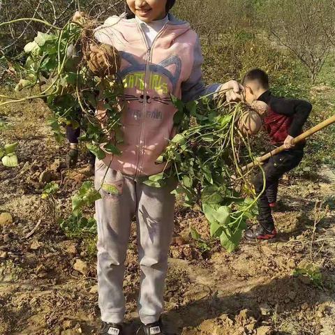 大家好!我们是来自实验二小六二班的小天使  ，日行一善、月习一德我们一直在行动。