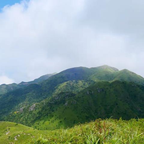 【原创】芦忠散文：羊驼峰