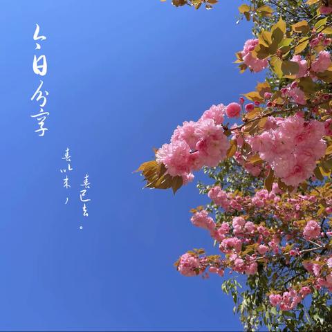 ☀️春游篇☀️——🌸小一班🌸