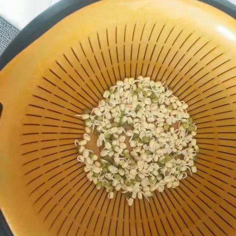 暑期生物作业