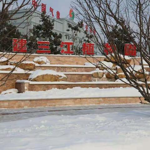 我爱你塞北的雪