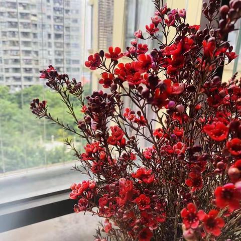 我的东莞我的家征文