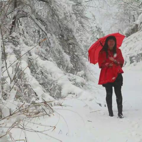 2017年兴安立夏的第一场雪