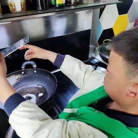 我的蚕宝宝成长记