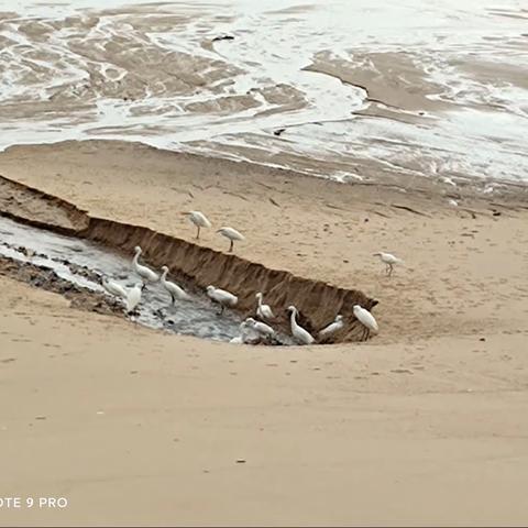 龙海白坑沙滩，镇海角。