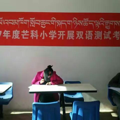芒科小学简报