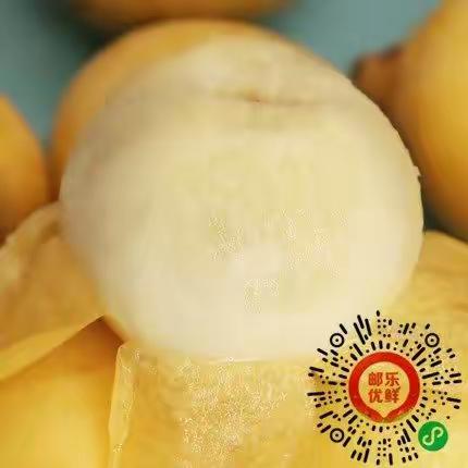 鲜枇天下 ，美荔“邮”你——五月枇杷黄似橘，谁思荔枝同此时